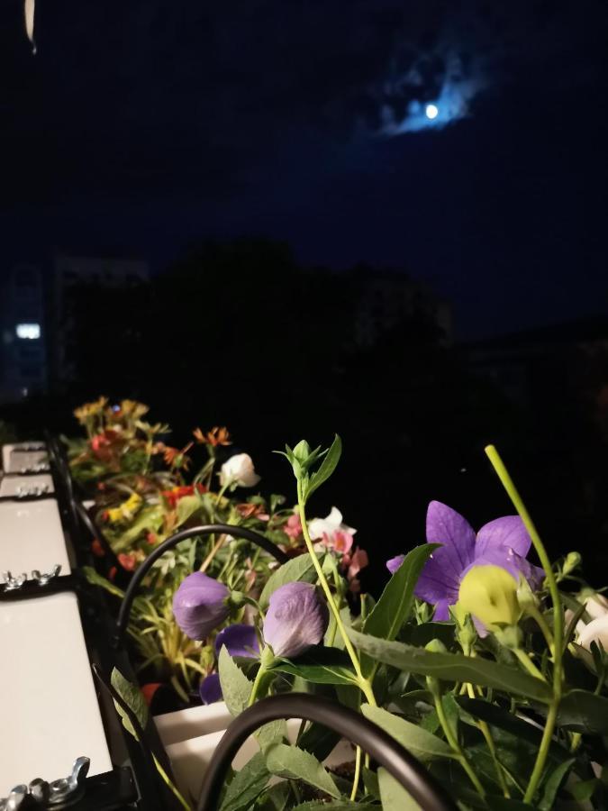 Bloom Box Apartments Крайова Екстериор снимка