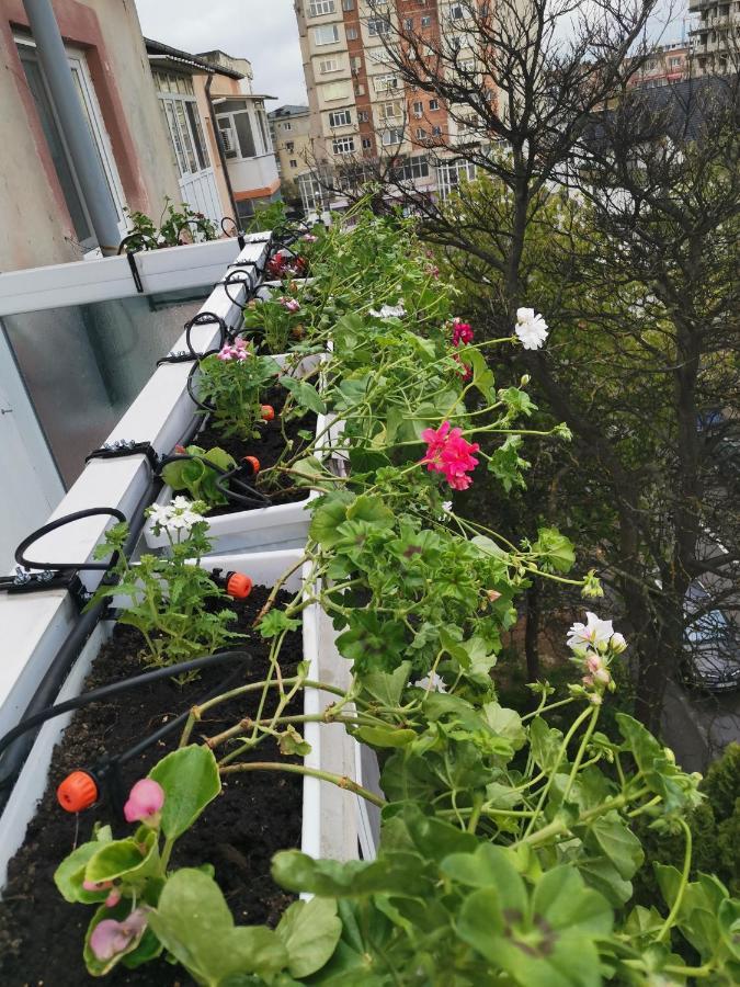 Bloom Box Apartments Крайова Екстериор снимка